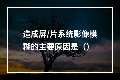 造成屏/片系统影像模糊的主要原因是（）