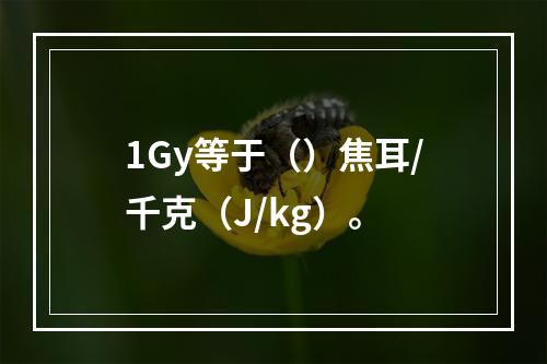 1Gy等于（）焦耳/千克（J/kg）。