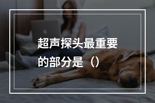 超声探头最重要的部分是（）