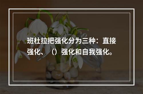 班杜拉把强化分为三种：直接强化、（）强化和自我强化。