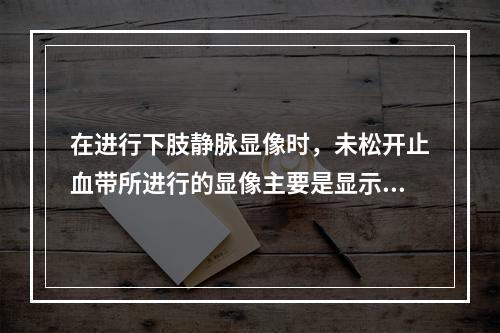 在进行下肢静脉显像时，未松开止血带所进行的显像主要是显示（）