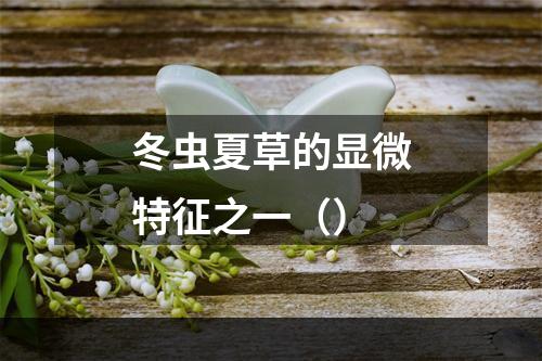 冬虫夏草的显微特征之一（）