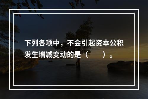 下列各项中，不会引起资本公积发生增减变动的是（　　）。