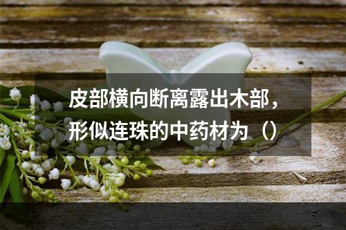 皮部横向断离露出木部，形似连珠的中药材为（）