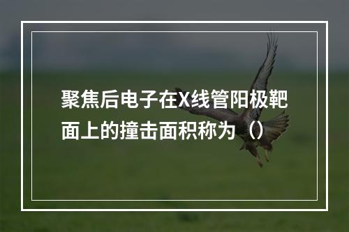 聚焦后电子在X线管阳极靶面上的撞击面积称为（）