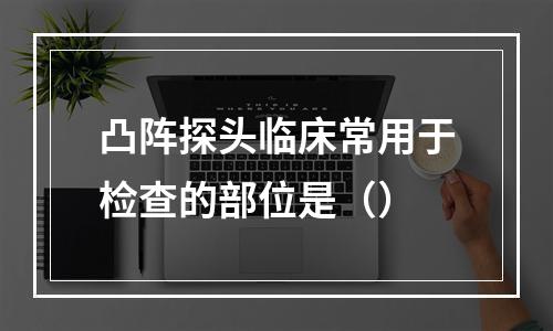 凸阵探头临床常用于检查的部位是（）