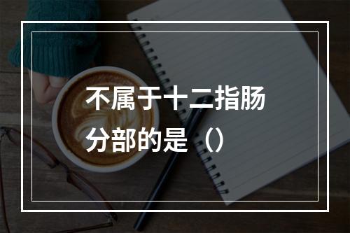 不属于十二指肠分部的是（）