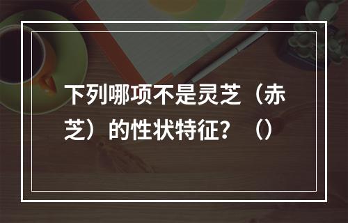 下列哪项不是灵芝（赤芝）的性状特征？（）