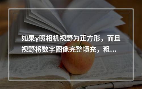 如果γ照相机视野为正方形，而且视野将数字图像完整填充，粗略计