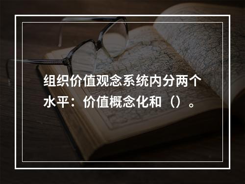 组织价值观念系统内分两个水平：价值概念化和（）。