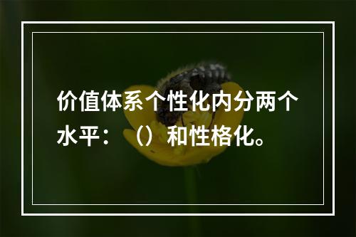 价值体系个性化内分两个水平：（）和性格化。