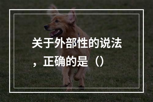 关于外部性的说法，正确的是（）