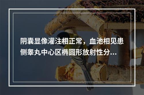 阴囊显像灌注相正常，血池相见患侧睾丸中心区椭圆形放射性分布减