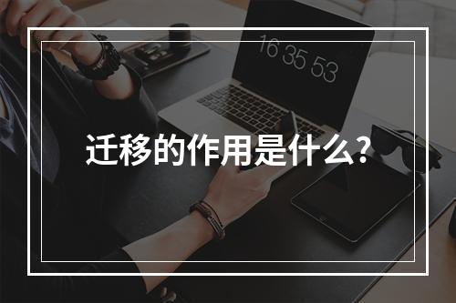 迁移的作用是什么?