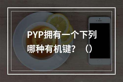 PYP拥有一个下列哪种有机键？（）