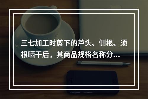 三七加工时剪下的芦头、侧根、须根晒干后，其商品规格名称分别是