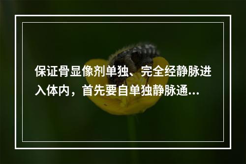 保证骨显像剂单独、完全经静脉进入体内，首先要自单独静脉通路输