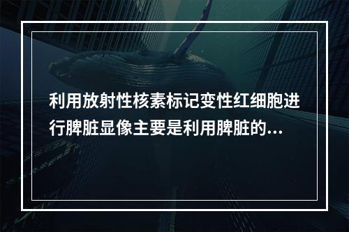 利用放射性核素标记变性红细胞进行脾脏显像主要是利用脾脏的哪一