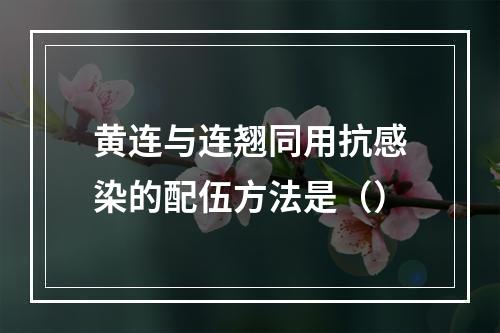 黄连与连翘同用抗感染的配伍方法是（）