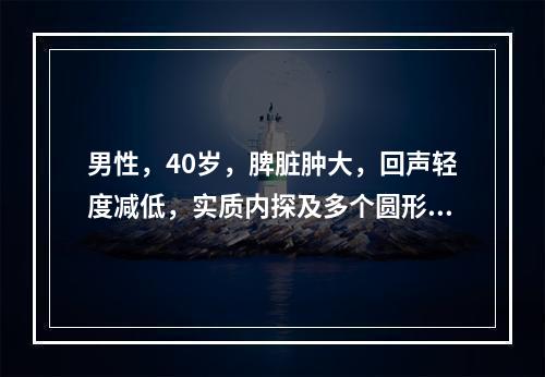 男性，40岁，脾脏肿大，回声轻度减低，实质内探及多个圆形低回