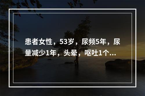 患者女性，53岁，尿频5年，尿量减少1年，头晕，呕吐1个月就