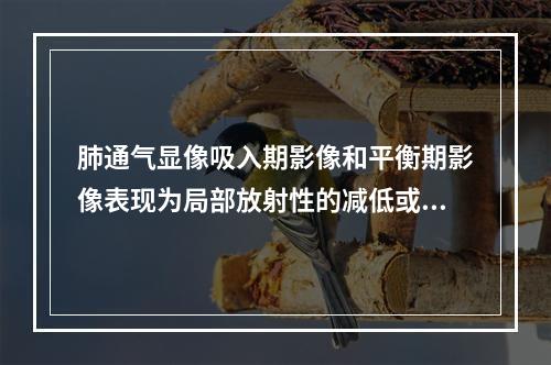 肺通气显像吸入期影像和平衡期影像表现为局部放射性的减低或缺损