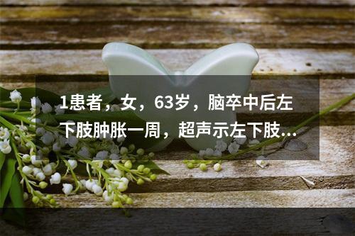 1患者，女，63岁，脑卒中后左下肢肿胀一周，超声示左下肢深静