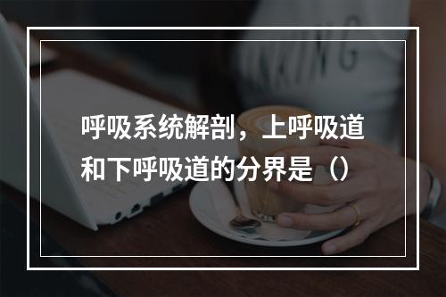 呼吸系统解剖，上呼吸道和下呼吸道的分界是（）