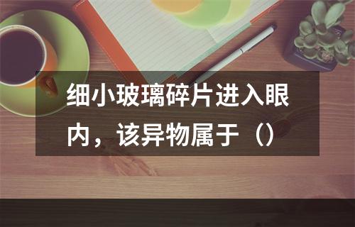 细小玻璃碎片进入眼内，该异物属于（）