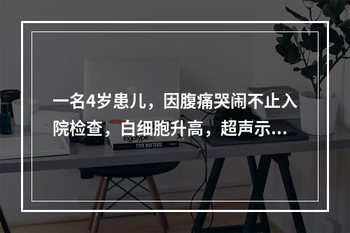 一名4岁患儿，因腹痛哭闹不止入院检查，白细胞升高，超声示右下