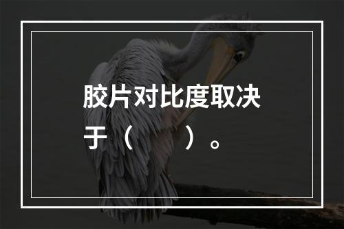 胶片对比度取决于（　　）。