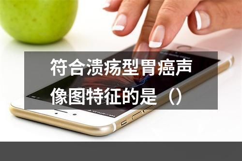 符合溃疡型胃癌声像图特征的是（）