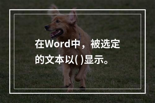 在Word中，被选定的文本以( )显示。