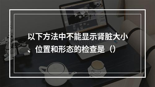 以下方法中不能显示肾脏大小、位置和形态的检查是（）