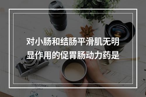 对小肠和结肠平滑肌无明显作用的促胃肠动力药是