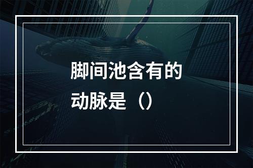 脚间池含有的动脉是（）