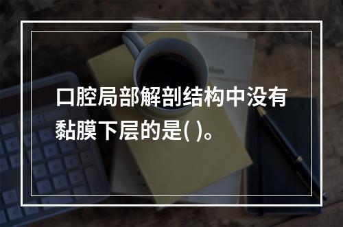 口腔局部解剖结构中没有黏膜下层的是( )。