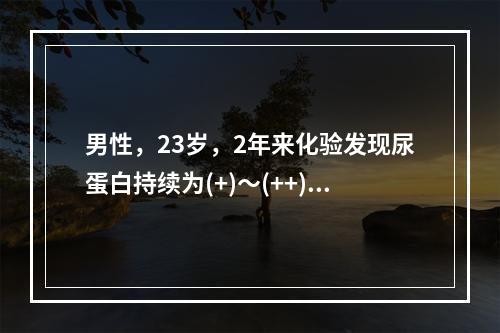 男性，23岁，2年来化验发现尿蛋白持续为(+)～(++)，每