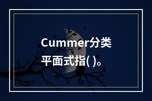 Cummer分类平面式指( )。