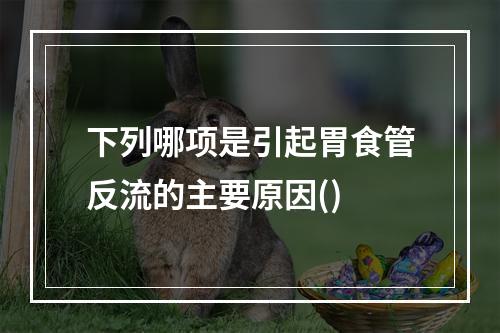 下列哪项是引起胃食管反流的主要原因()