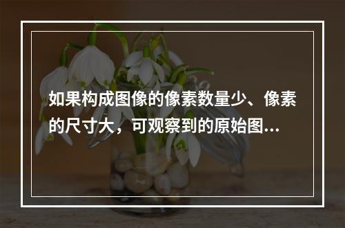 如果构成图像的像素数量少、像素的尺寸大，可观察到的原始图像细