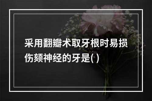 采用翻瓣术取牙根时易损伤颏神经的牙是( )