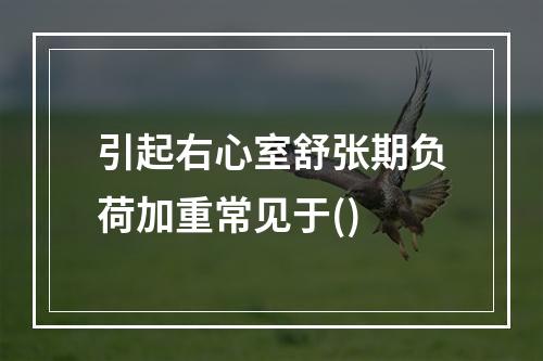 引起右心室舒张期负荷加重常见于()