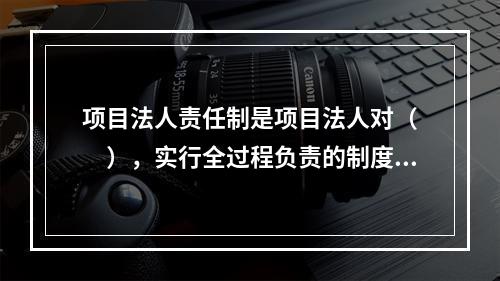 项目法人责任制是项目法人对（　　），实行全过程负责的制度。