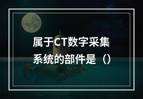 属于CT数字采集系统的部件是（）