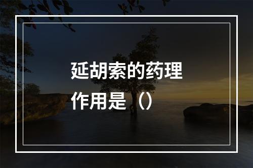 延胡索的药理作用是（）