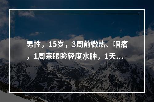 男性，15岁，3周前微热、咽痛，1周来眼睑轻度水肿，1天前突