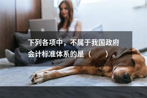 下列各项中，不属于我国政府会计标准体系的是（　　）。