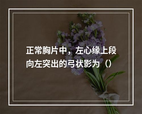 正常胸片中，左心缘上段向左突出的弓状影为（）