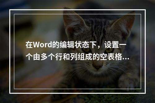 在Word的编辑状态下，设置一个由多个行和列组成的空表格，将